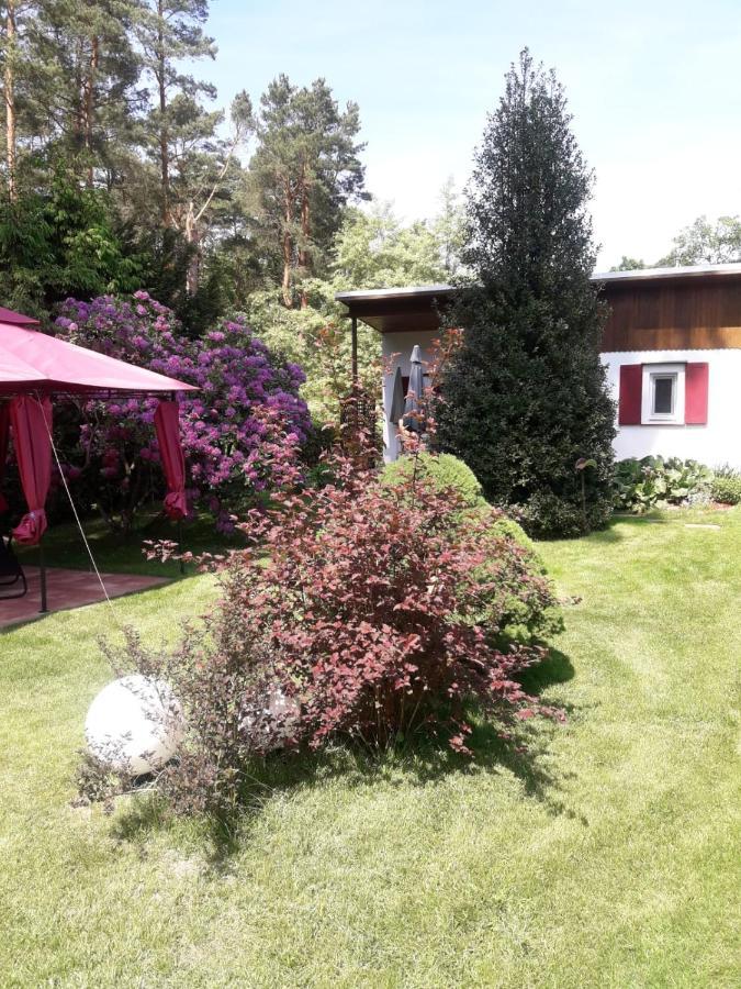 Ferienhaus Am Langen See Heidesee Extérieur photo